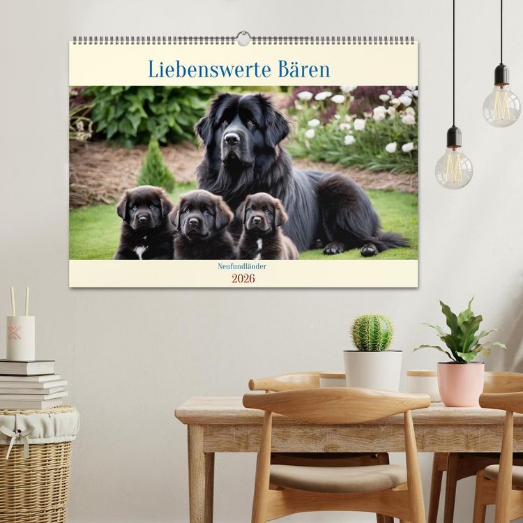 Produktbild: Neufundl&auml;nder - Liebenswerte B&auml;ren (Wandkalender 2026 DIN A2 quer), CALVENDO Monatskalender