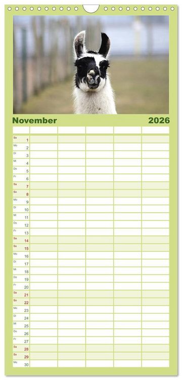 Produktbild: Familienplaner 2026 - Lama-Kalender mit 5 Spalten (Wandkalender, 21 x 45 cm) CALVENDO