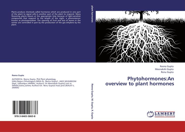 Produktbild: Phytohormones:An overview to plant hormones