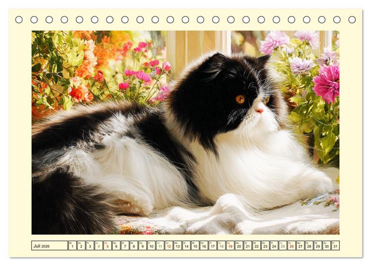 Produktbild: Perserkatzen. Zauberhaft, sanft, anh&auml;nglich und wundersch&ouml;n (Tischkalender 2026 DIN A5 quer), CALVENDO Monatskalender