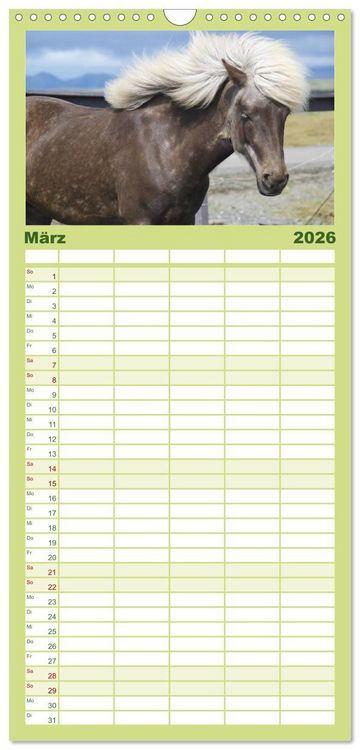 Produktbild: Familienplaner 2026 - Ponys. Herzensbrecher mit Grips mit 5 Spalten (Wandkalender, 21 x 45 cm) CALVENDO