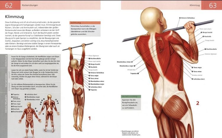 Produktbild: Das Anatomie-Buch der Fitness