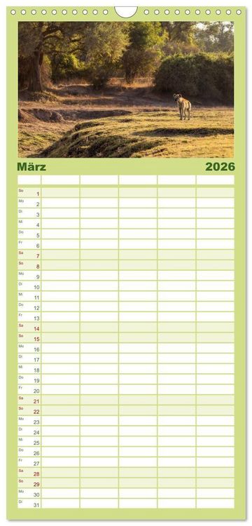 Produktbild: Familienplaner 2026 - Sambias gro&szlig;artige Tierwelt mit 5 Spalten (Wandkalender, 21 x 45 cm) CALVENDO