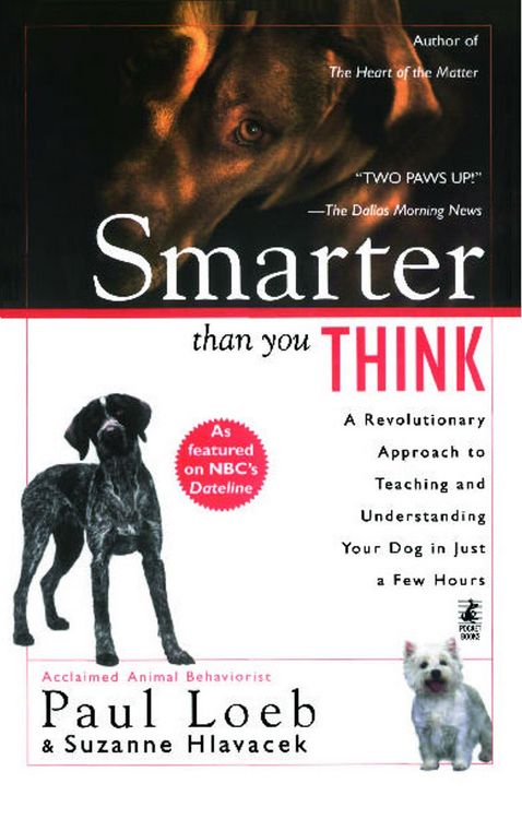 Produktbild: Smarter Than You Think