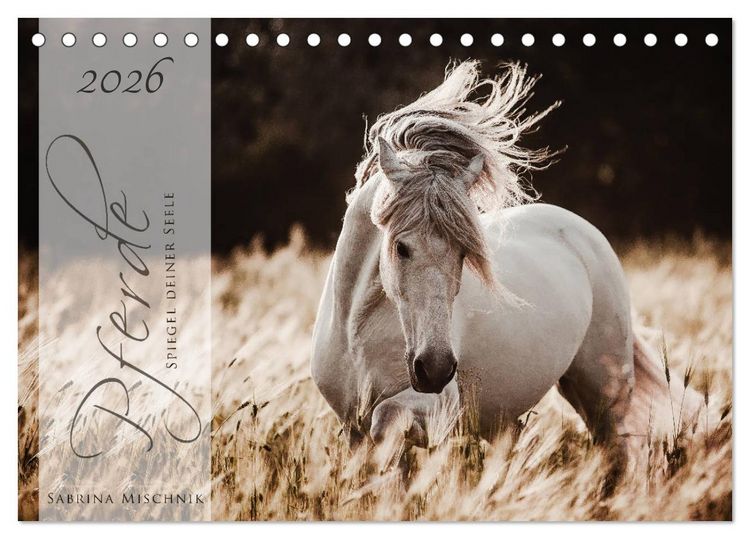 Produktbild: Pferde - Spiegel deiner Seele (Tischkalender 2026 DIN A5 quer), CALVENDO Monatskalender