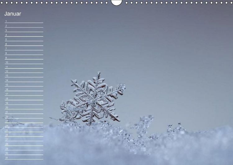 Produktbild: Nah ... N&auml;her ... MAKRO (Wandkalender immerw&auml;hrend DIN A3 quer)