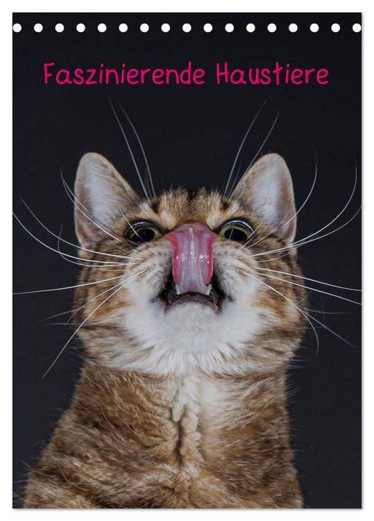 Produktbild: Faszinierende Haustiere (Tischkalender 2026 DIN A5 hoch), CALVENDO Monatskalender