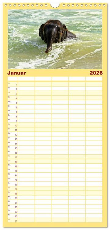 Produktbild: Familienplaner 2026 - Elefanten. Badespa&szlig; am Strand mit 5 Spalten (Wandkalender, 21 x 45 cm) CALVENDO