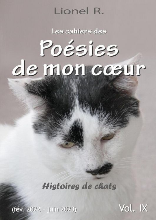 Produktbild: Les cahiers des poesies de mon