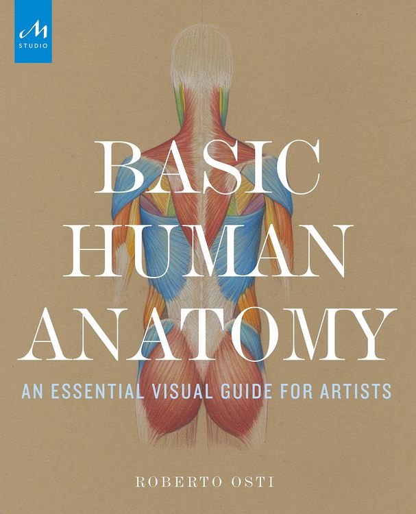 Produktbild: Basic Human Anatomy