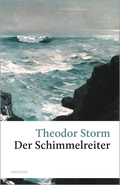 Bild vom Artikel Der Schimmelreiter vom Autor Theodor Storm