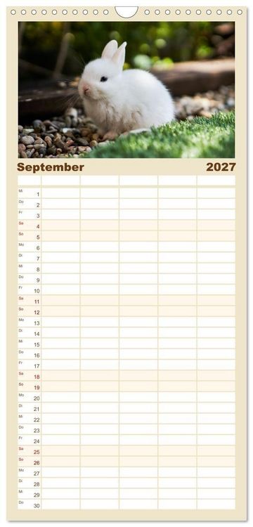 Produktbild: Familienplaner 2027 - Hasen - Die niedlichen Hoppeltiere. mit 5 Spalten (Wandkalender, 21 x 45 cm) CALVENDO