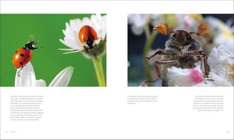 Produktbild: Unsere einzigartige Insektenwelt