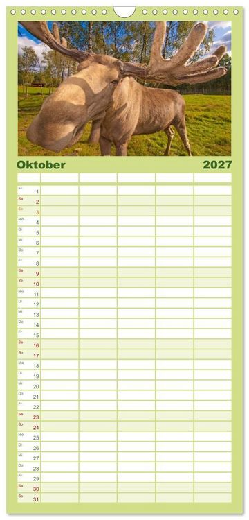 Produktbild: Familienplaner 2027 - Sehnsucht Schweden - Sverige mit 5 Spalten (Wandkalender, 21 x 45 cm) CALVENDO