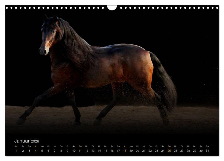 Produktbild: Magische Momente - Pferde Horses Caballos (Wandkalender 2026 DIN A3 quer), CALVENDO Monatskalender