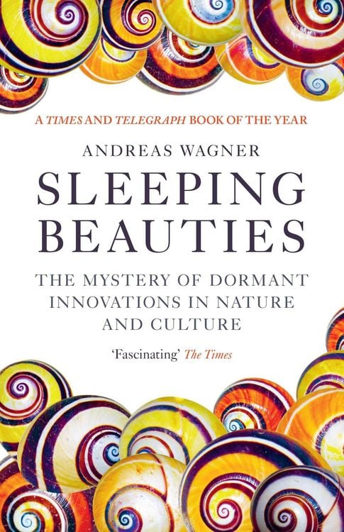 Produktbild: Sleeping Beauties