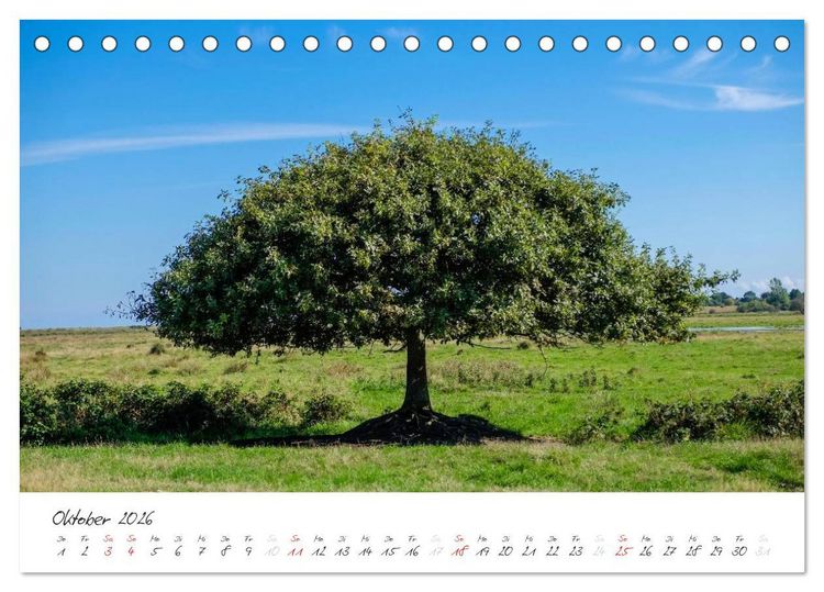 Produktbild: Geltinger Birk (Tischkalender 2026 DIN A5 quer), CALVENDO Monatskalender