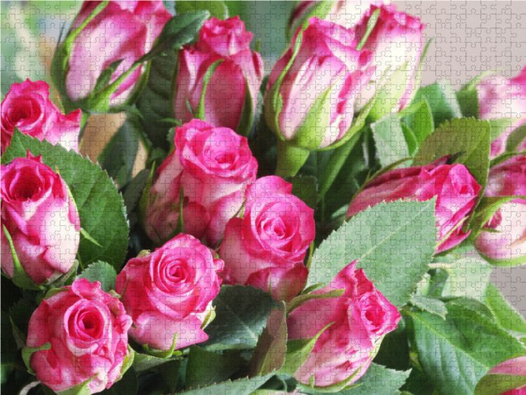 Produktbild: CALVENDO Puzzle Rosenstrau&szlig; in Pink, Wei&szlig; und Gr&uuml;n | 2000 Teile Lege-Gr&ouml;&szlig;e 90x67cm Foto-Puzzle f&uuml;r gl&uuml;ckliche Stunden