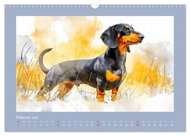 Produktbild: Dackelzauber. Charmante Begleiter im lieblichen Aquarell-Stil (Wandkalender 2026 DIN A3 quer), CALVENDO Monatskalender