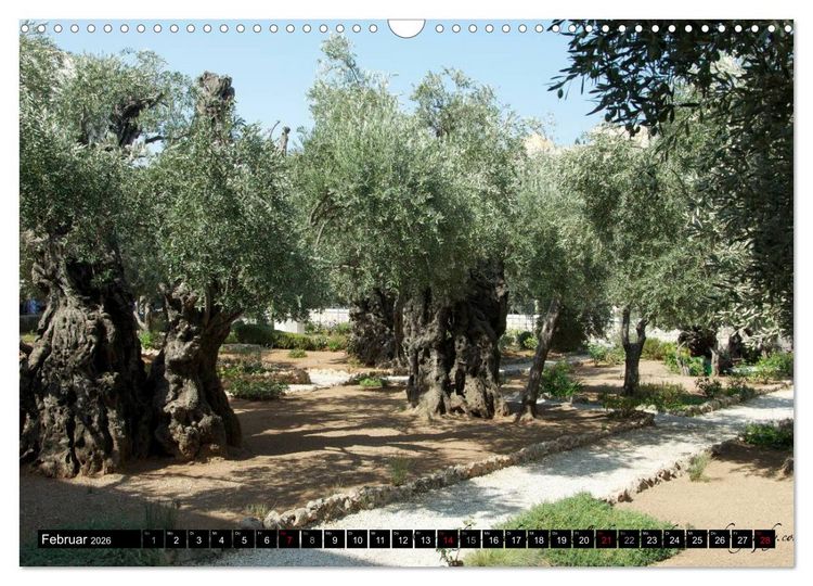 Produktbild: Israel Heute (Wandkalender 2026 DIN A3 quer), CALVENDO Monatskalender