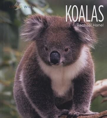 Produktbild: Koalas