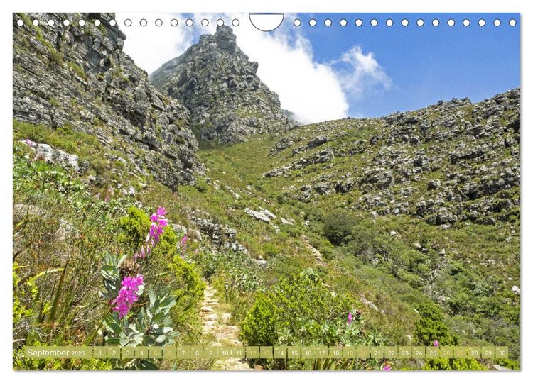 Produktbild: Kapstadt: Leben unterm Tafelberg (Wandkalender 2026 DIN A4 quer), CALVENDO Monatskalender