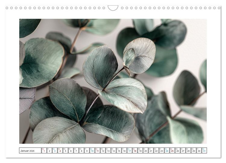 Produktbild: Florale Meisterwerke (Wandkalender 2026 DIN A3 quer), CALVENDO Monatskalender