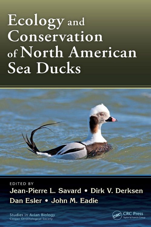 Produktbild: Ecology and Conservation of North American Sea Ducks