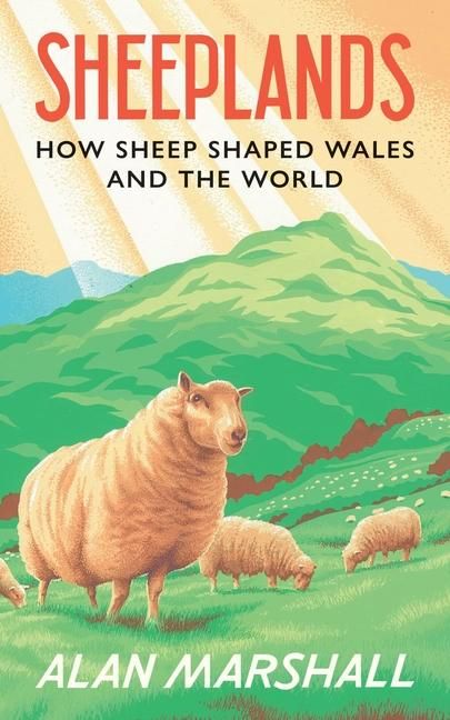 Produktbild: Sheeplands