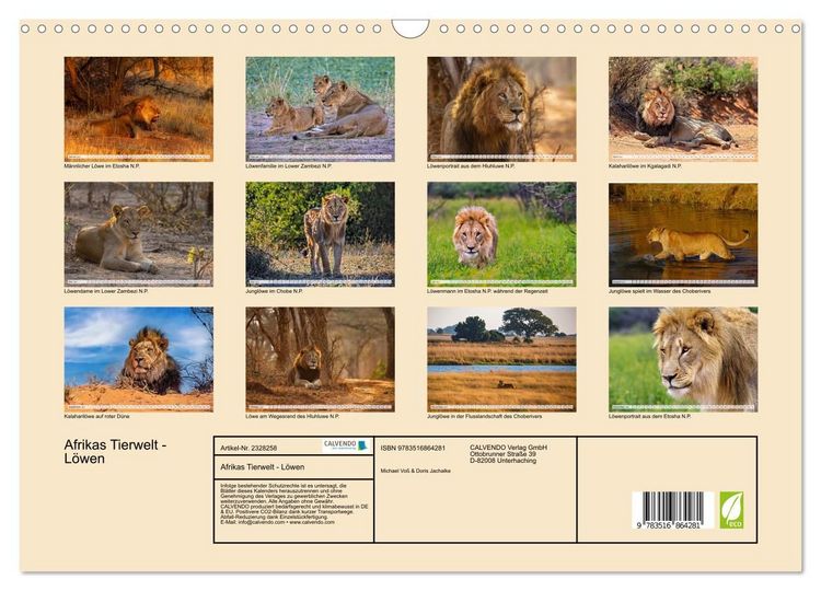 Produktbild: Afrikas Tierwelt - L&ouml;wen (Wandkalender 2027 DIN A3 quer), CALVENDO Monatskalender
