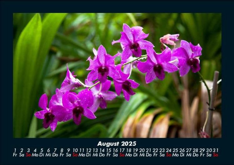 Produktbild: Natur 2025 Fotokalender DIN A5