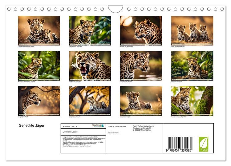 Produktbild: Gefleckte J&auml;ger (Wandkalender 2026 DIN A4 quer), CALVENDO Monatskalender