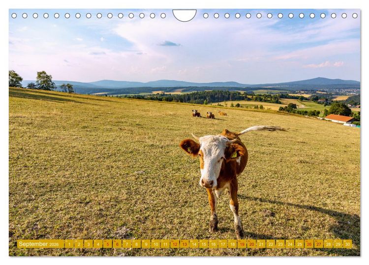 Produktbild: Faszination Oberpfalz (Wandkalender 2026 DIN A4 quer), CALVENDO Monatskalender