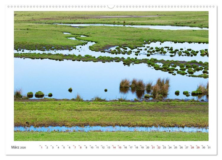 Produktbild: Buntes und bl&uuml;hendes Borkum (Wandkalender 2026 DIN A2 quer), CALVENDO Monatskalender