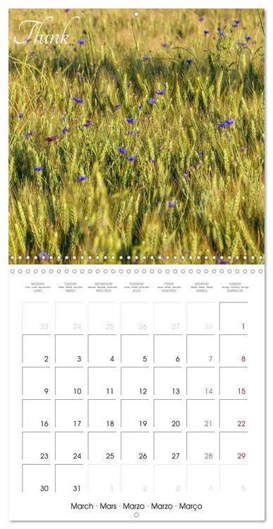 Produktbild: Relaxing Nature (Wall Calendar 2026 12 &times; 12 Inch) CALVENDO 12 Month Wall Calendar