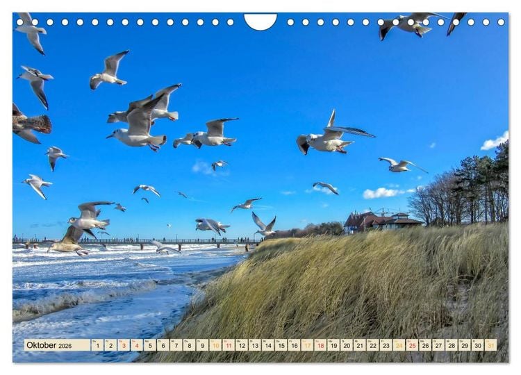 Produktbild: Reise durch Deutschland - Mecklenburg-Vorpommern (Wandkalender 2026 DIN A4 quer), CALVENDO Monatskalender