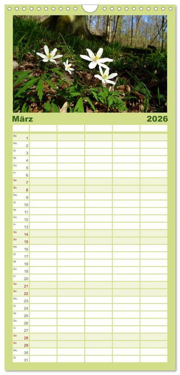 Produktbild: Familienplaner 2026 - Jahreszeiten mit 5 Spalten (Wandkalender, 21 x 45 cm) CALVENDO