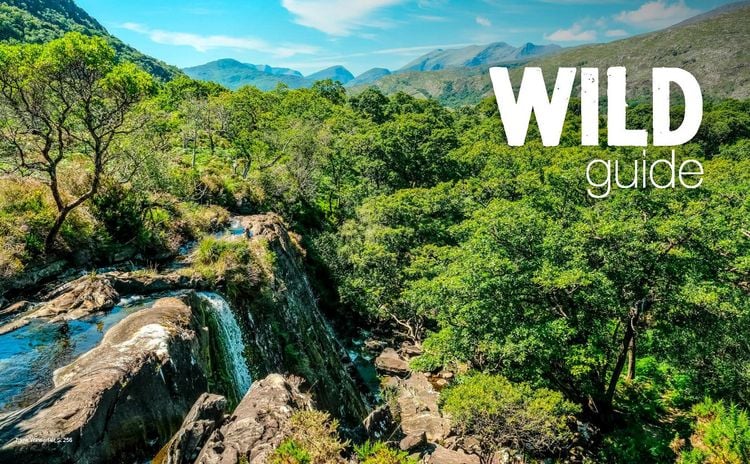 Produktbild: Wild Guide Irland - Der Westen