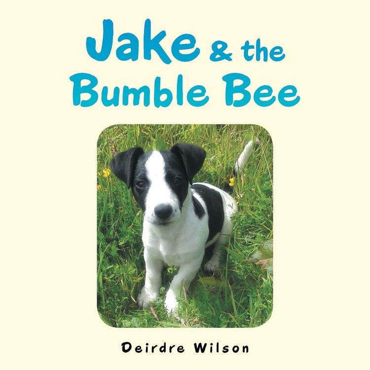 Produktbild: Jake & the Bumble Bee