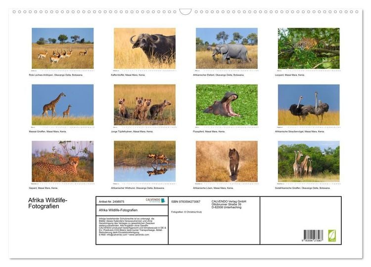 Produktbild: Afrika Wildlife-Fotografien (Wandkalender 2027 DIN A2 quer), CALVENDO Monatskalender