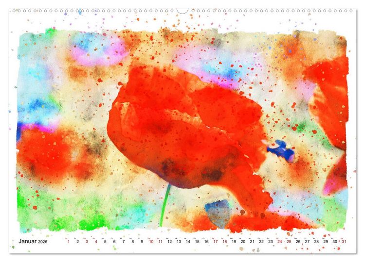 Produktbild: Mohnbl&uuml;ten in Aquarell (hochwertiger Premium Wandkalender 2026 DIN A2 quer), Kunstdruck in Hochglanz