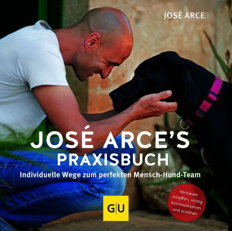 Produktbild: Jos&eacute; Arce's Praxisbuch