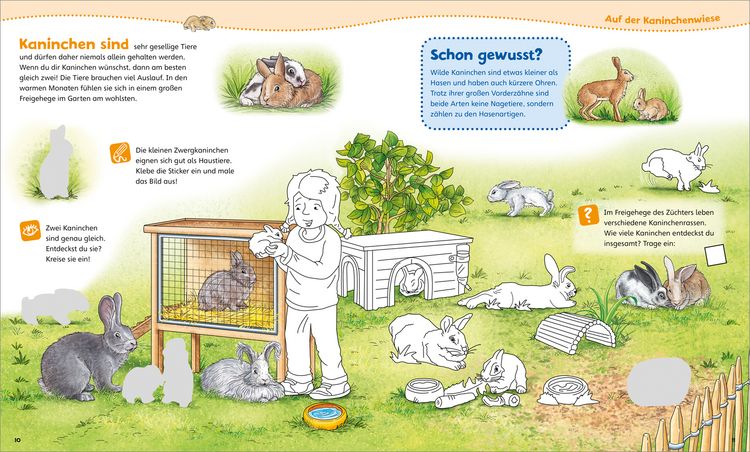 Produktbild: WAS IST WAS Junior Mitmach-Heft Meine liebsten Haustiere