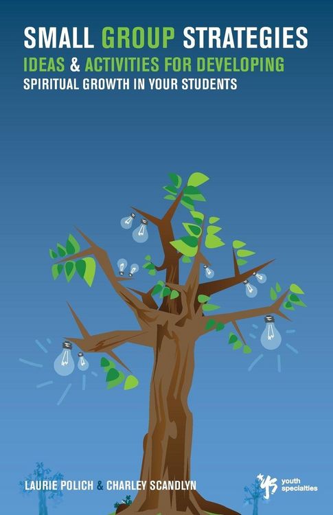 Produktbild: A Small Group Strategies