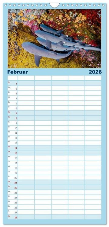 Produktbild: Familienplaner 2026 - Haie - K&ouml;nige der Meere. mit 5 Spalten (Wandkalender, 21 x 45 cm) CALVENDO