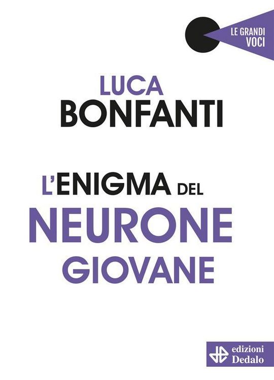 Produktbild: L'enigma del neurone giovane