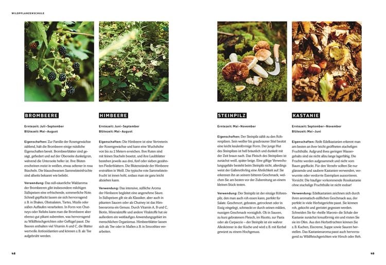 Produktbild: Wild &ndash; Wald &ndash; Genuss
