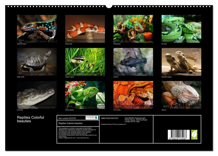 Produktbild: Reptiles Colorful beauties (High Quality Premium Wall Calendar 2026 DIN A2 landscape),CALVENDO 12 Month Wall Calendar