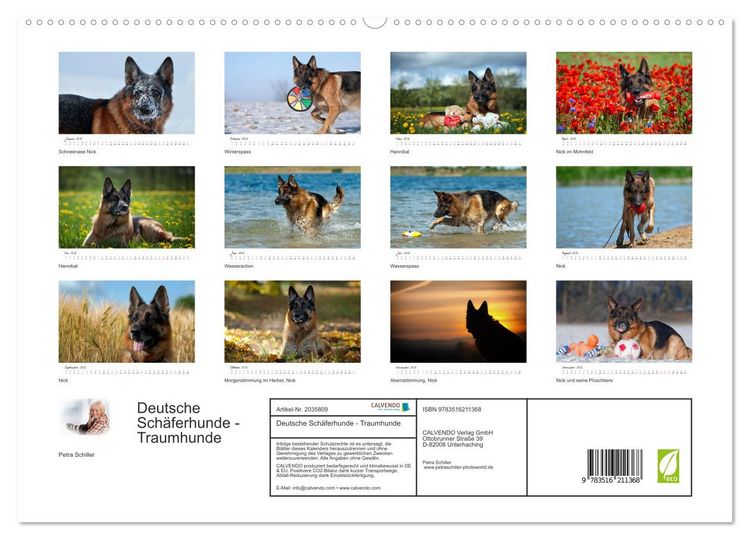 Produktbild: Deutsche Sch&auml;ferhunde - Traumhunde (hochwertiger Premium Wandkalender 2026 DIN A2 quer), Kunstdruck in Hochglanz