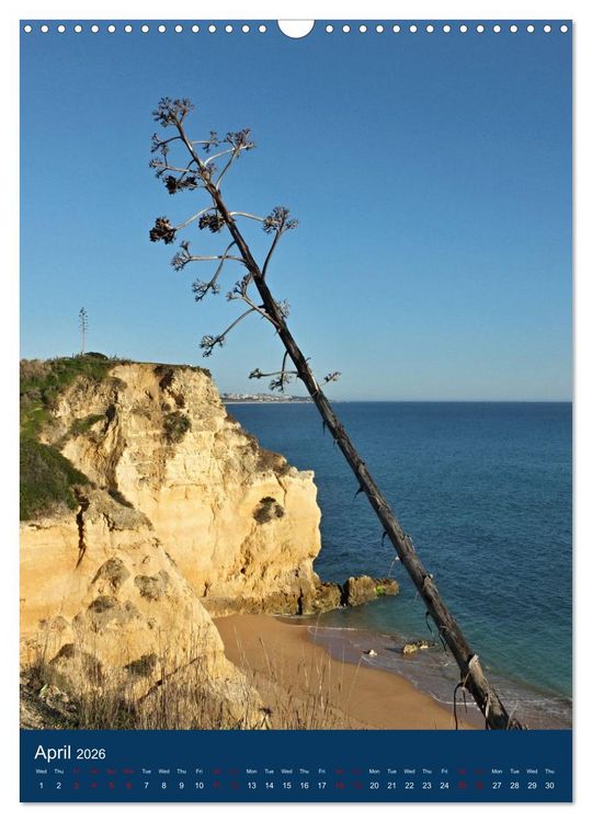 Produktbild: Pure Algarve (Wall Calendar 2026 DIN A3 portrait), CALVENDO 12 Month Wall Calendar